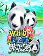 สูตรเอาชนะในสล็อต playstar ที่คุณต้องรู้